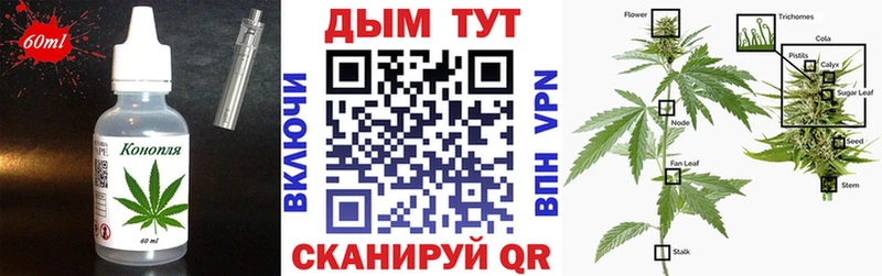 где купить наркоту  Прохладный  Еда ТГК конопля 